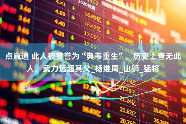 点赢通 此人被赞誉为“典韦重生”，历史上查无此人，武力远超其父_杨继周_山狮_猛将