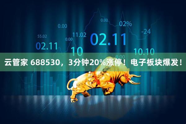 云管家 688530，3分钟20%涨停！电子板块爆发！