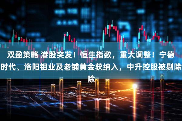 双盈策略 港股突发！恒生指数，重大调整！宁德时代、洛阳钼业及老铺黄金获纳入，中升控股被剔除