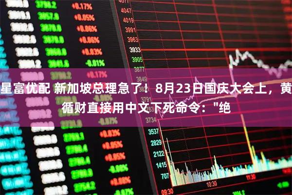 星富优配 新加坡总理急了！8月23日国庆大会上，黄循财直接用中文下死命令："绝